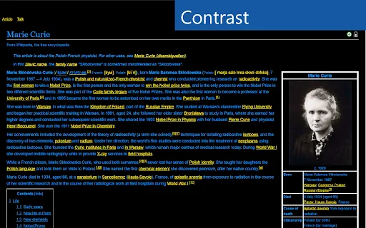Accessibility: Asisten Web Terbaik untuk Kemudahan Membaca - Screenshot 2