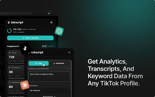 Tokscript: Alat Analisis & Transkrip TikTok Terbaik 2026 - Screenshot 4