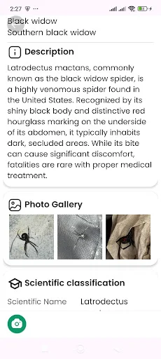Download Spider Identifier Versi Terbaru – Identifikasi Laba-laba - Screenshot 16