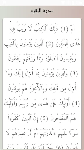 Download Murottal Abdul Basit Abdul Samad Lengkap Offline - Screenshot 5