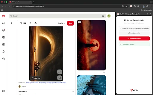 PinFlik – Download Video Pinterest Terbaik & Tercepat - Screenshot 5