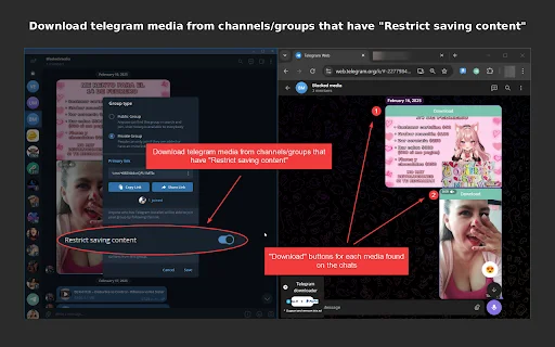 Unduh Telegram Downloader Terbaru – Simpan Media Grup & Channel - Screenshot 1